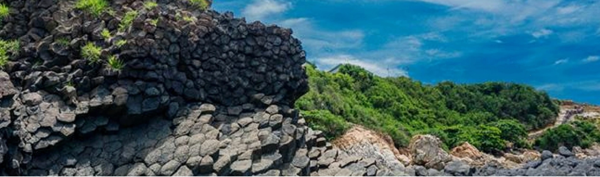 Cánh đồng quạt gió Ninh Thuận lung linh dưới ánh nắng chiều