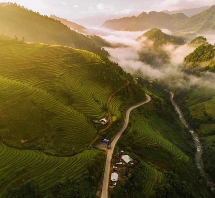 Cánh đồng ruộng bậc thang Tú Lệ với sự hòa quyện của màu xanh và vàng