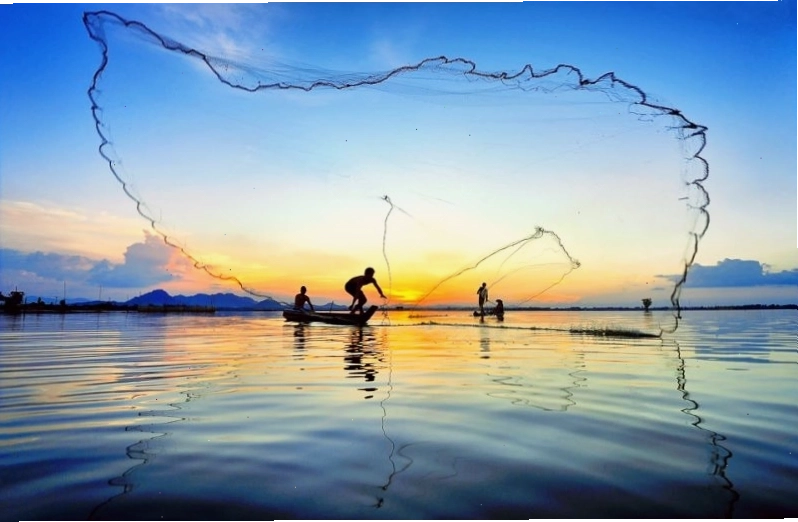 Cánh đồng sen rực rỡ tại Đồng Tháp Mười vào mùa nước nổi