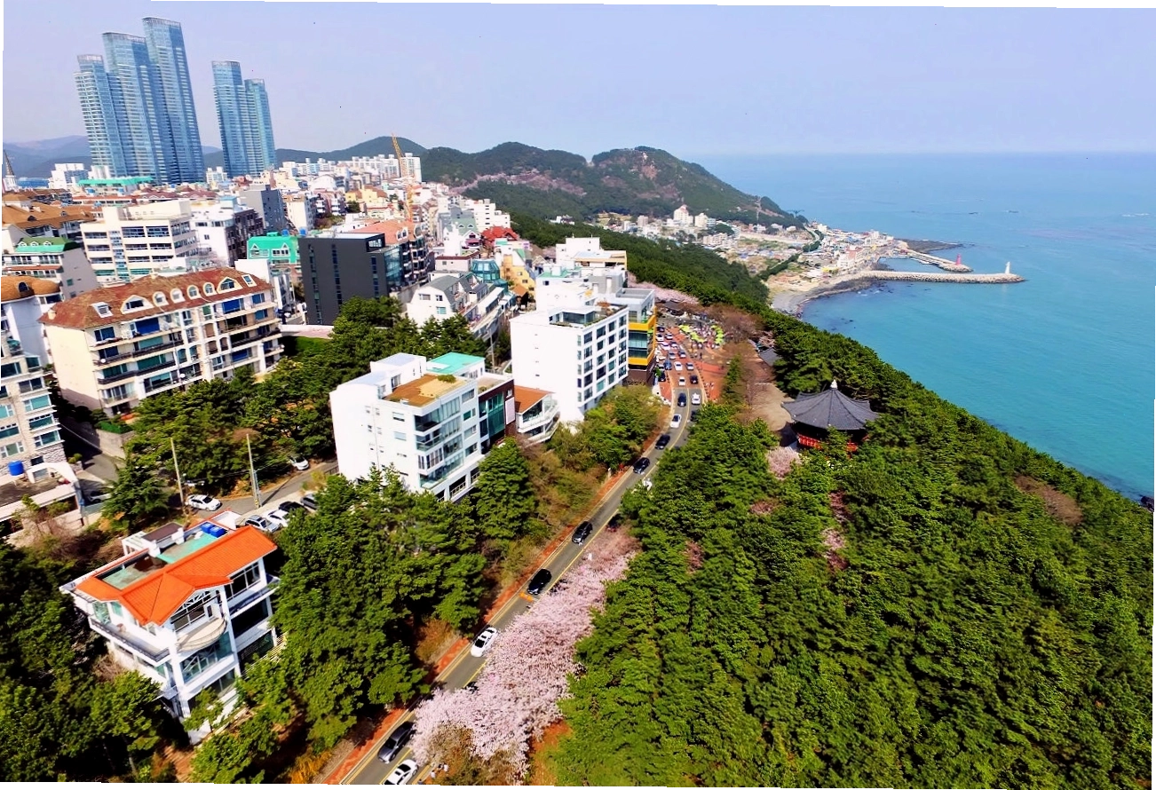 Cảnh đường phố Busan hiện đại