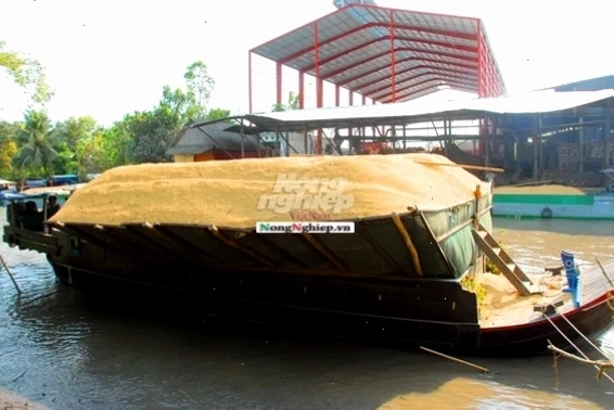 Cảnh ghe tam bản chở đầy hàng hóa xuôi theo dòng sông