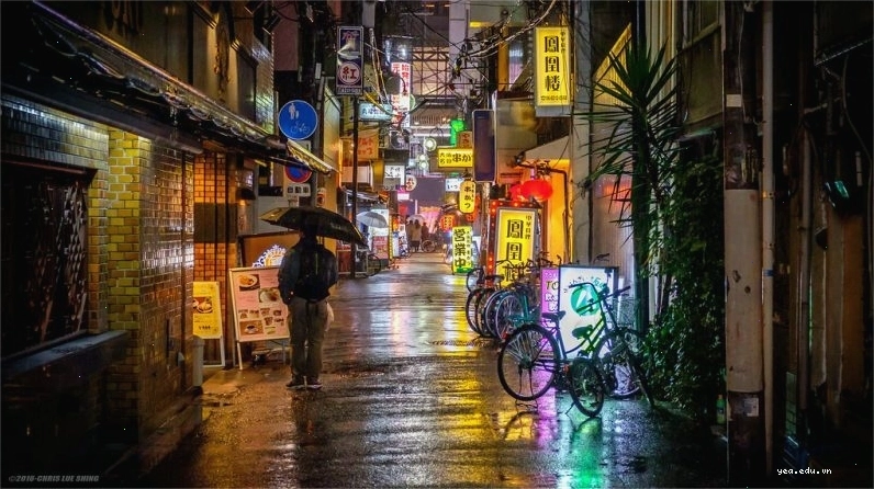 Cảnh hoa anh đào nở rộ tại Osaka