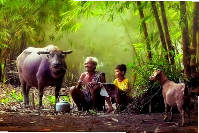 Cảnh hoàng hôn trên biển