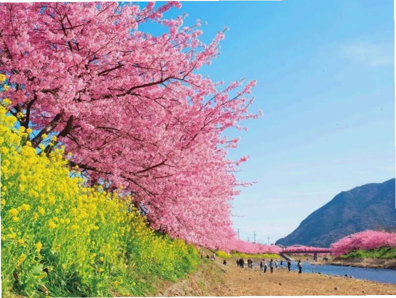 Cảnh hoàng hôn tuyệt đẹp trên biển tại Shizuoka