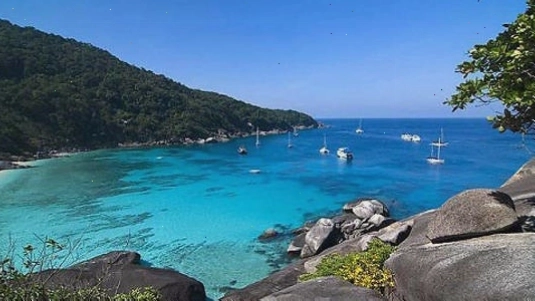 Cảnh lặn biển tại Cozumel với rặng san hô đa dạng