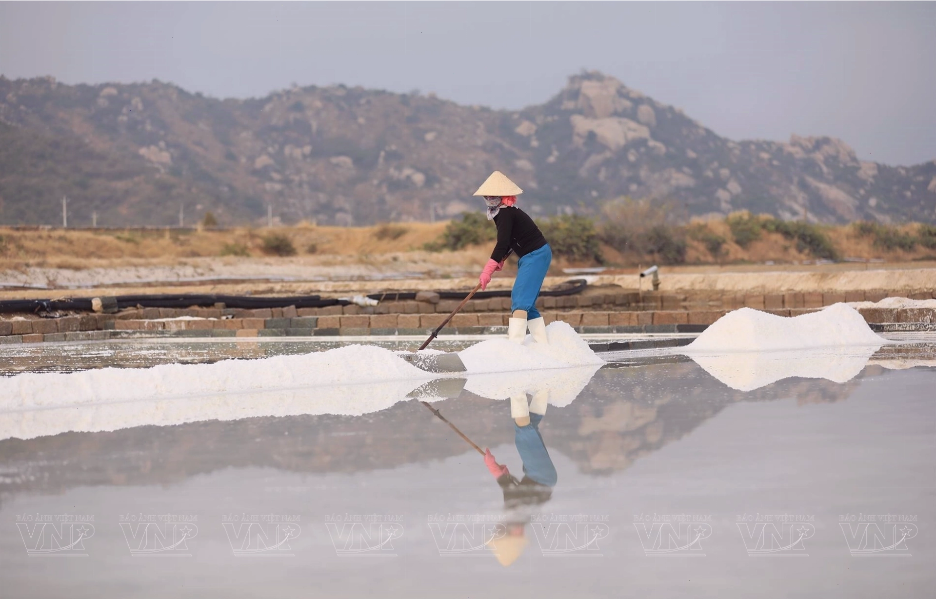 Cảnh lao động nhộn nhịp trên cánh đồng muối Phương Cựu
