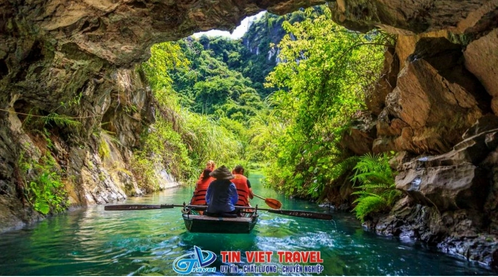 Cảnh lúa chín vàng rực rỡ tại Tràng An Ninh Bình