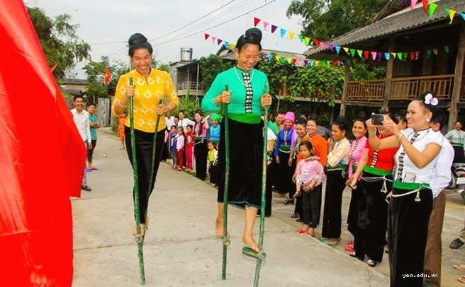 Cảnh quan cánh đồng Mường Lò xanh mướt nhìn từ trên cao, biểu tượng của du lịch Nghĩa Lộ Yên Bái