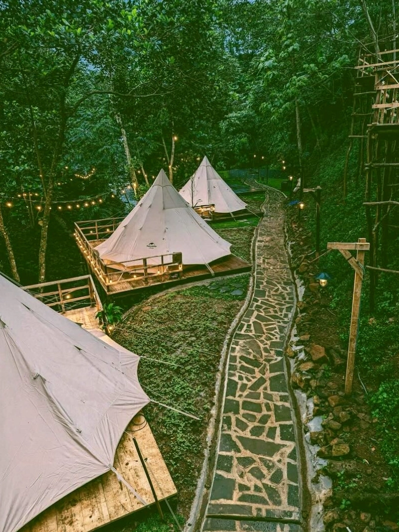Cảnh quan đồi chè xanh mướt trải dài ở Tâm Châu