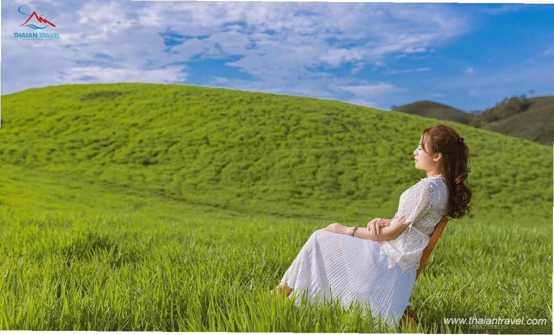Cảnh quan Đồng cỏ Mộc Châu