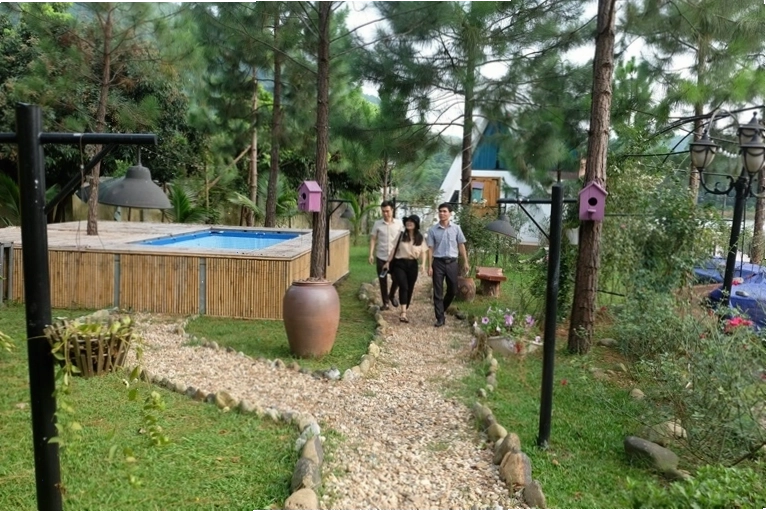 Cảnh quan đồng quê xanh mát tại Ngọc Thanh, Phúc Yên, Vĩnh Phúc