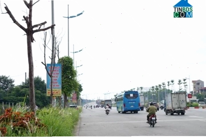 Cảnh quan Đường Lý Sơn, Long Biên, Hà Nội với cây xanh hai bên đường