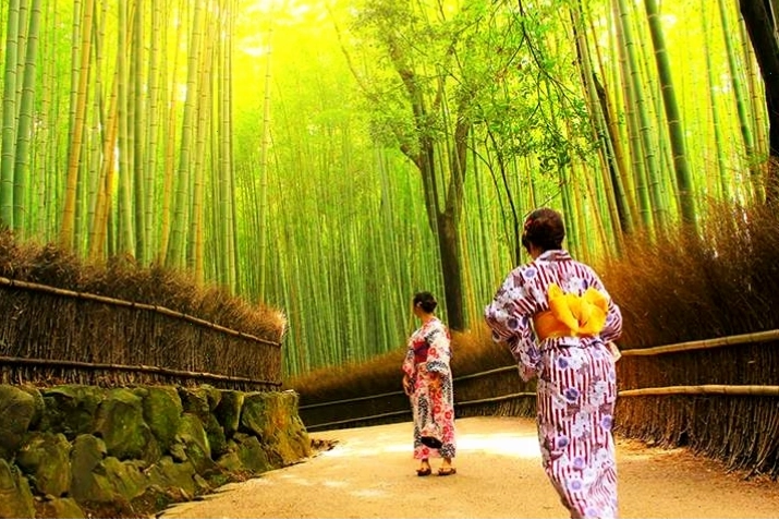 Cảnh quan hùng vĩ của Rừng trúc Arashiyama tại Kyoto, Nhật Bản