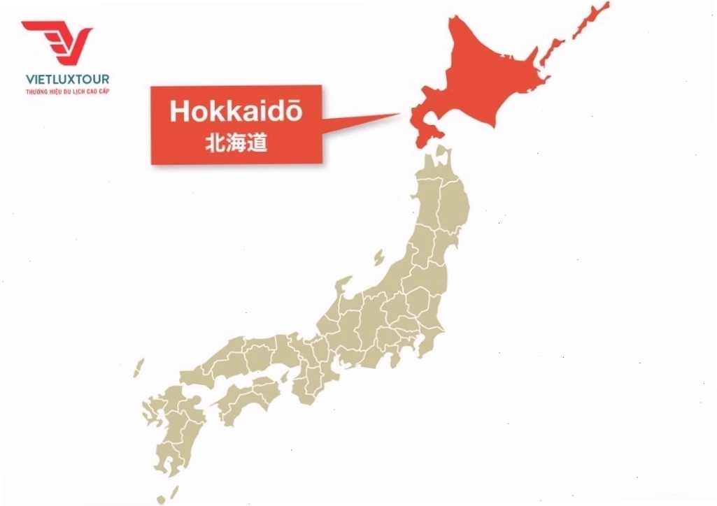 Cảnh quan mùa đông Hokkaido phủ đầy tuyết trắng