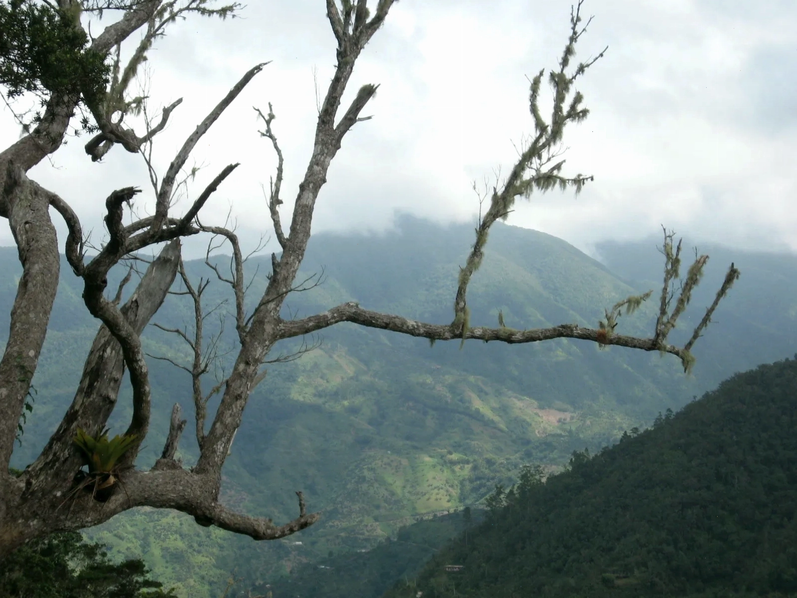 Cảnh quan núi Blue Mountains hùng vĩ