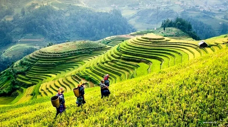 Cảnh quan núi rừng hùng vĩ của Bắc Kạn