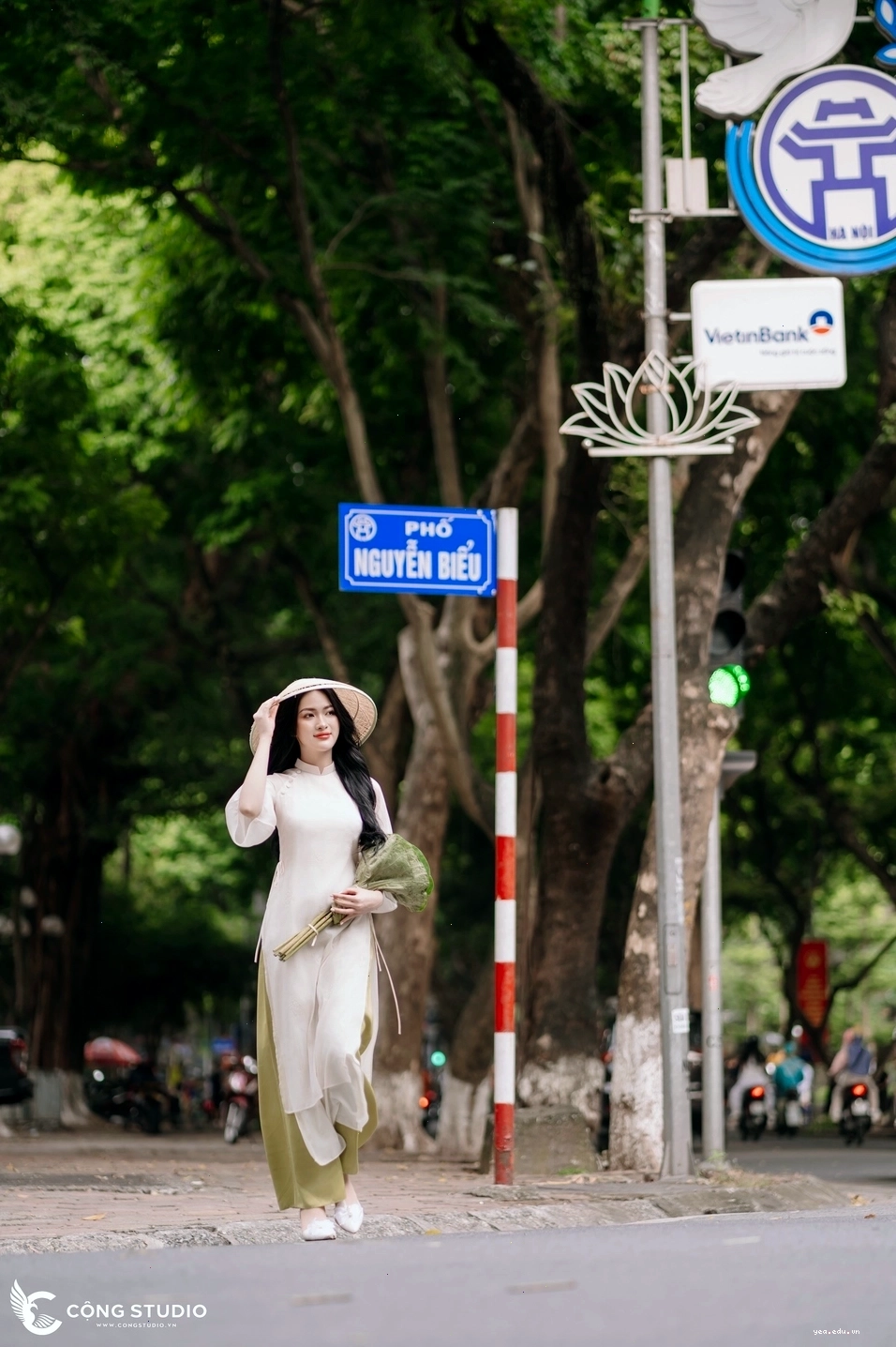 Cảnh quan phố Phan Đình Phùng mùa hè