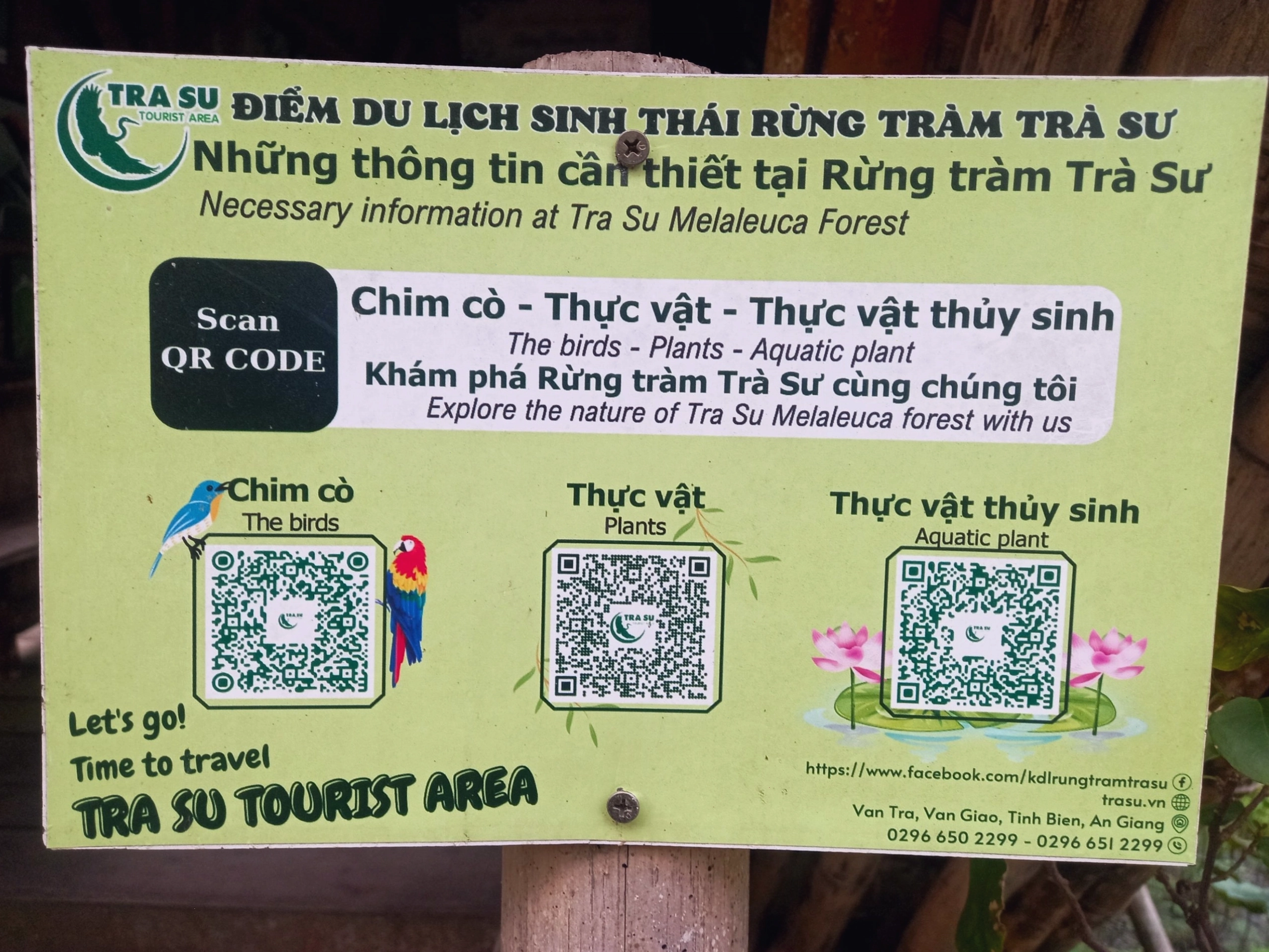 Cảnh quan Rừng Tràm Trà Sư vào mùa nước nổi