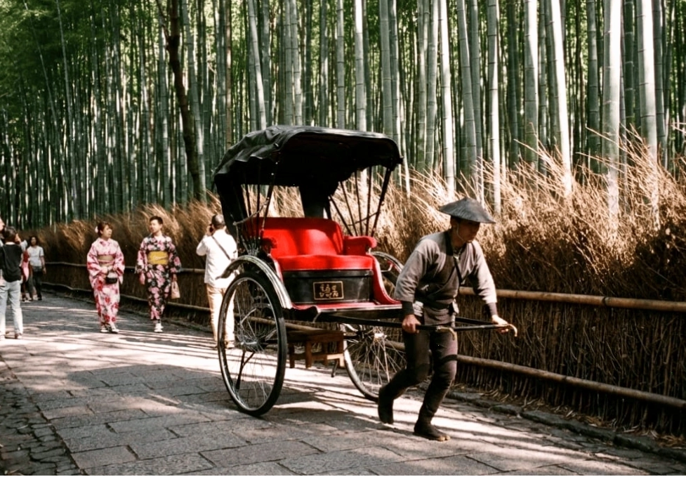 Cảnh quan rừng trúc Arashiyama Kyoto với hàng ngàn thân trúc xanh mướt