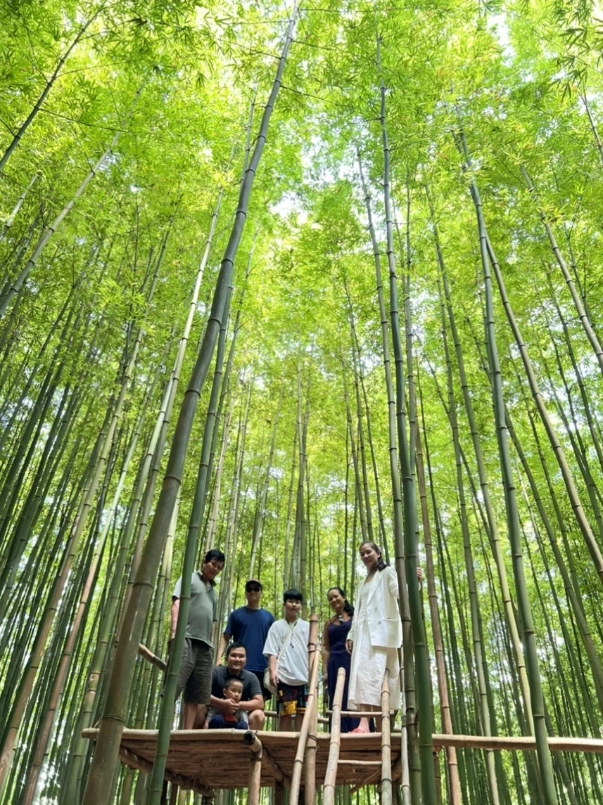 Cảnh quan rừng trúc Mù Cang Chải