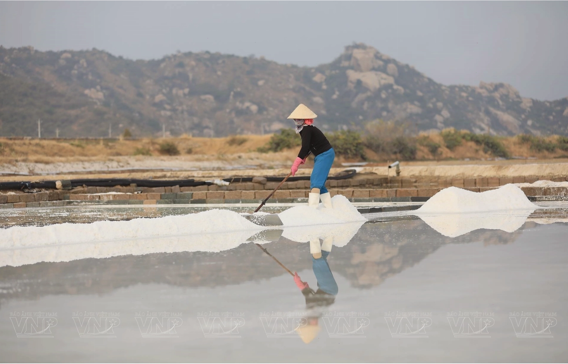 Cảnh quan ruộng muối Ninh Thuận bao la dưới ánh nắng