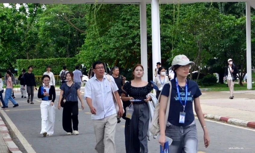 Cảnh quan Sapa chìm trong sương mù mùa đông