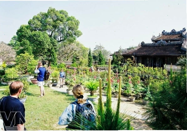 Cảnh quan sông Hương nhìn từ Hoàng thành