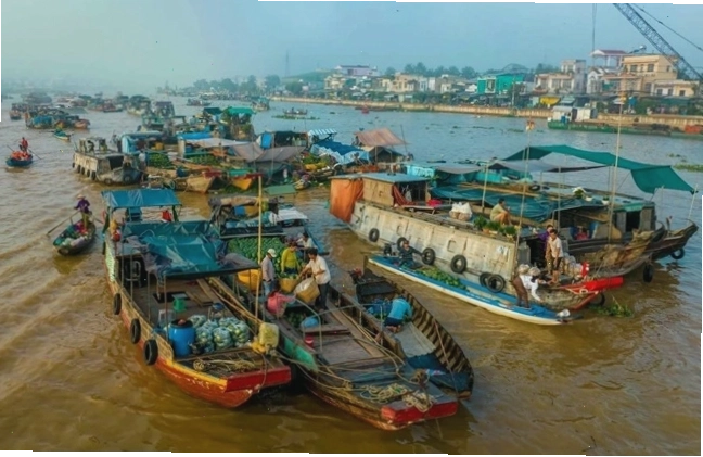 Cảnh quan sông nước Bến Tre với những rặng dừa xanh mát