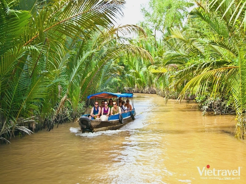 Cảnh quan sông nước Miền Tây với những hàng dừa xanh mát