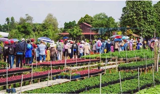 Cảnh quan sông nước Sa Đéc với những chiếc ghe chở đầy hoa