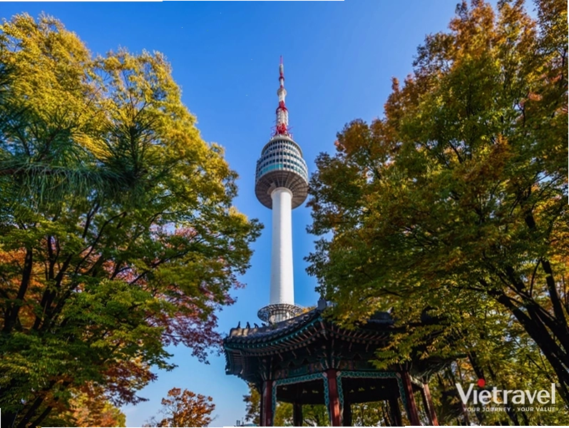 Cảnh quan Tháp Namsan lung linh về đêm