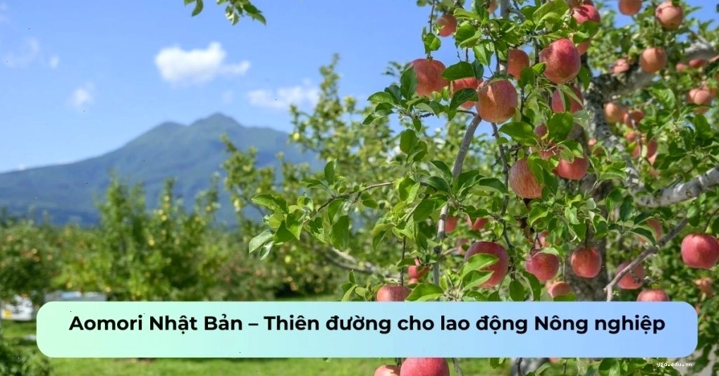 Cảnh quan thiên nhiên Aomori Nhật Bản