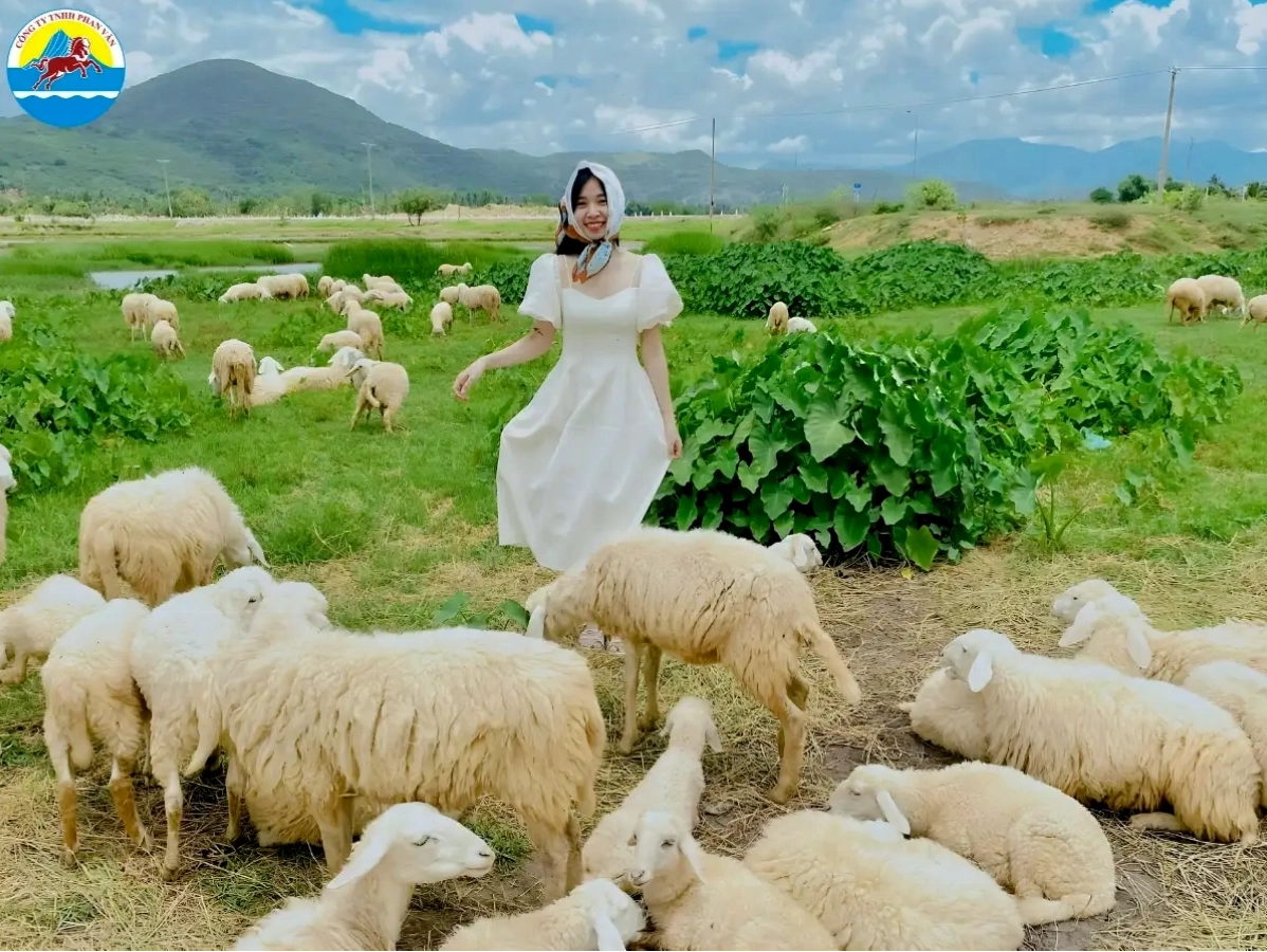 Cảnh quan thiên nhiên đa dạng tại Phan Rang