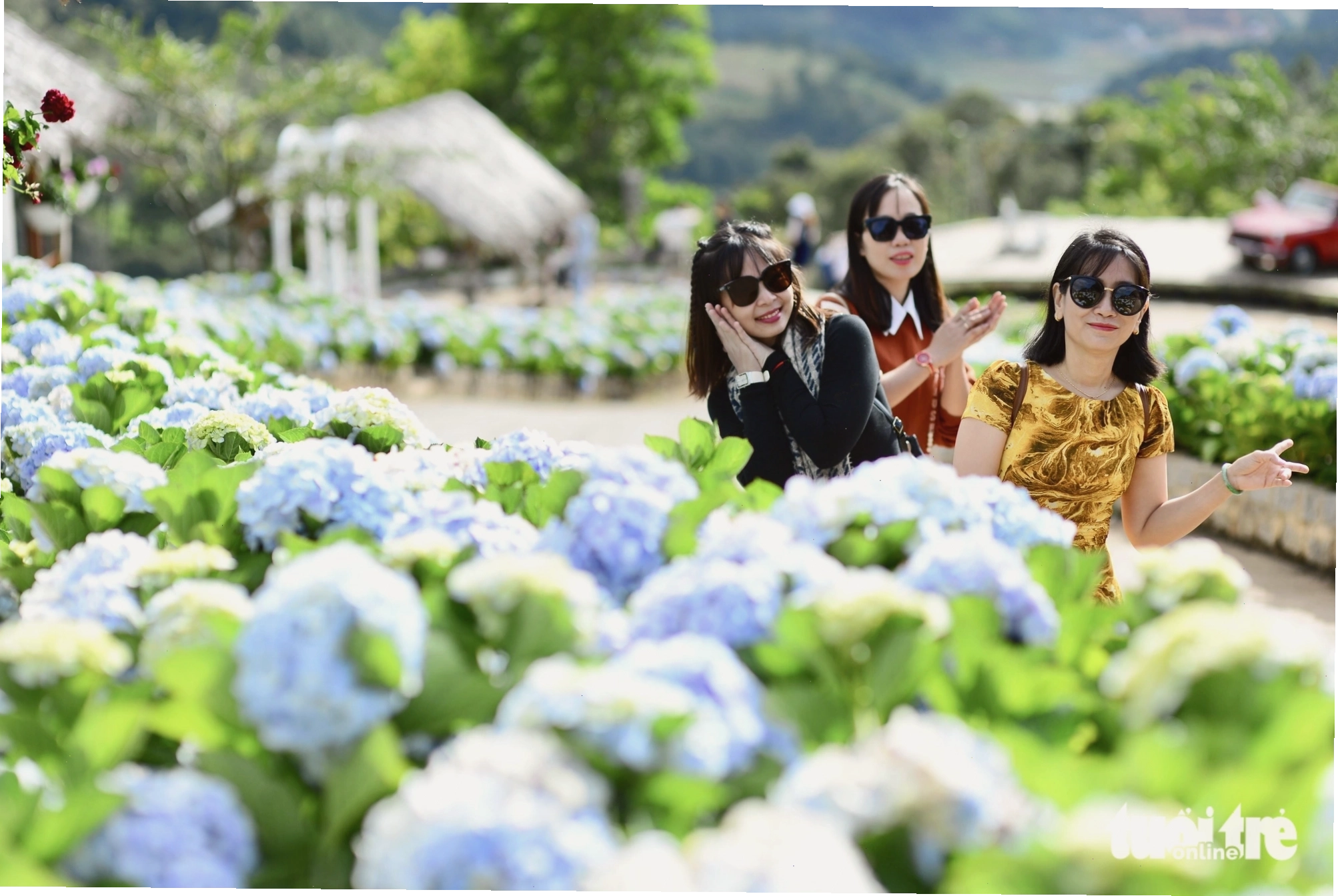 Cảnh quan thiên nhiên hùng vĩ, đại diện cho Bản Giao Hưởng Xanh