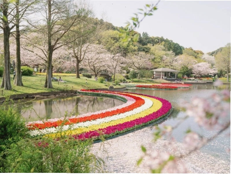 Cảnh quan thiên nhiên hùng vĩ tại Công viên Quốc gia Fuji-Hakone-Izu