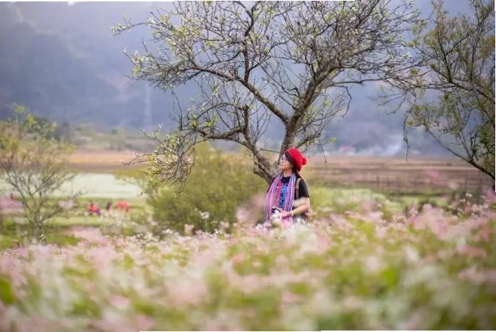 Cảnh quan thiên nhiên hùng vĩ tại Lai Châu