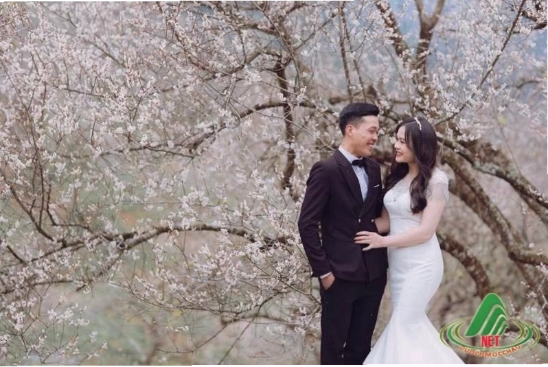 Cảnh quan thiên nhiên hùng vĩ tại Mộc Châu