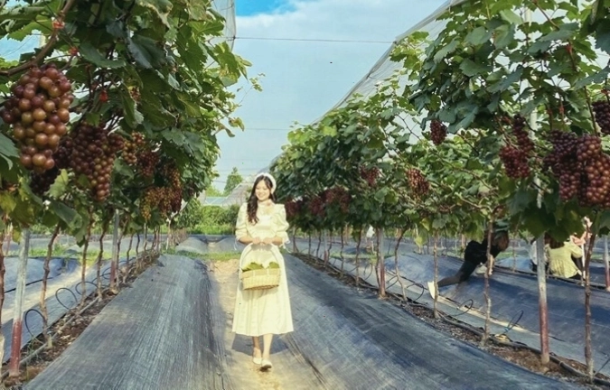 Cảnh quan thiên nhiên tại Khoáng nóng Thuần Mỹ Ba Vì