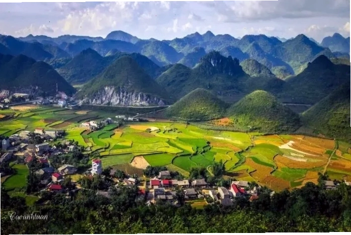 Cảnh quan thiên nhiên trên đường đi đến cây cô đơn Hà Giang