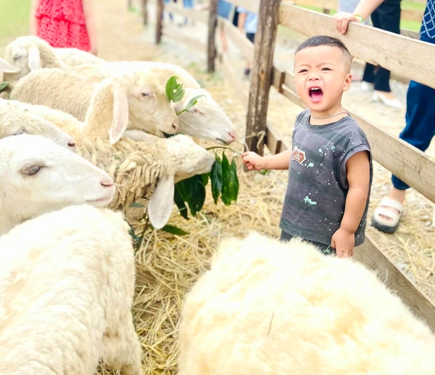 Cảnh quan thiên nhiên tươi đẹp tại Khu Du Lịch Sinh Thái Cộng Đồng Bản Ven Xanh