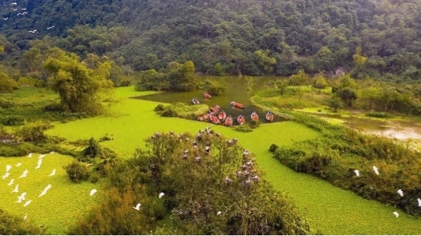 Cảnh quan thiên nhiên tươi đẹp và thanh bình tại Thung Nham