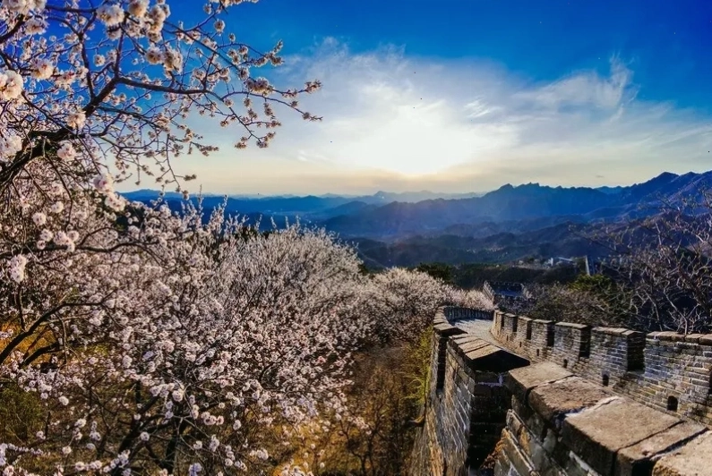 Cảnh quan Vạn Lý Trường Thành vào mùa xuân