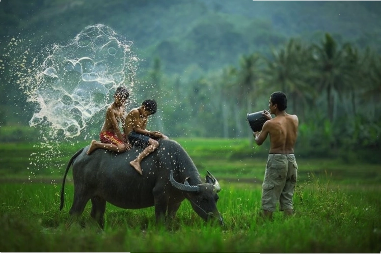 Cảnh quan vịnh biển xanh ngắt