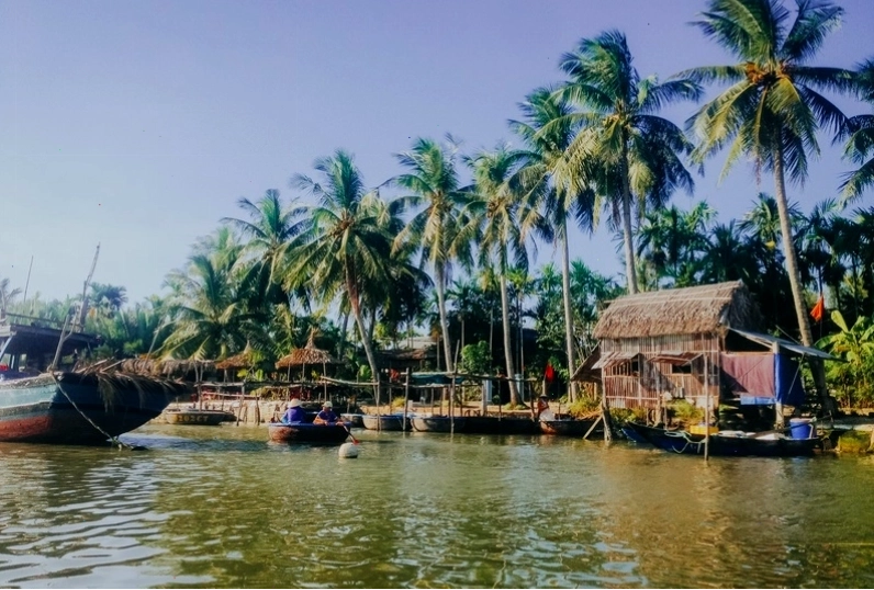 Cảnh quan xanh mát của Rừng Dừa Cẩm Thanh