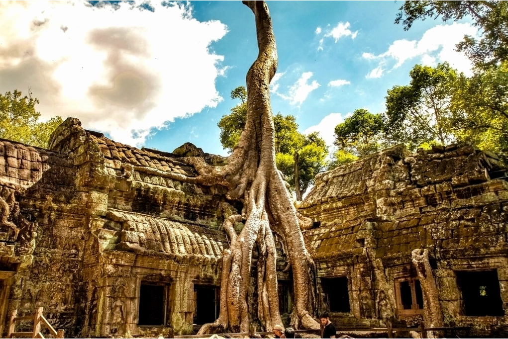 Cảnh quan xung quanh khu vực đền Angkor