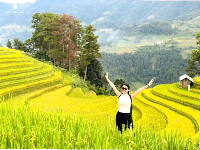 Cảnh ruộng bậc thang vàng óng tại Mù Cang Chải vào tháng 9