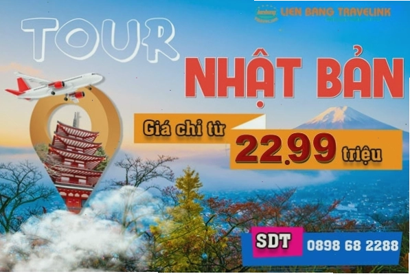 Cảnh sắc lãng mạn của lễ hội Hanami dưới những tán hoa anh đào