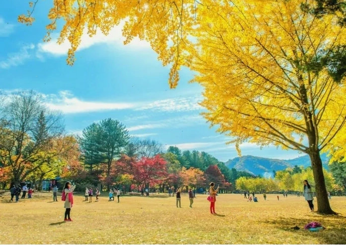 Cảnh sắc mùa thu lãng mạn tại Seoul