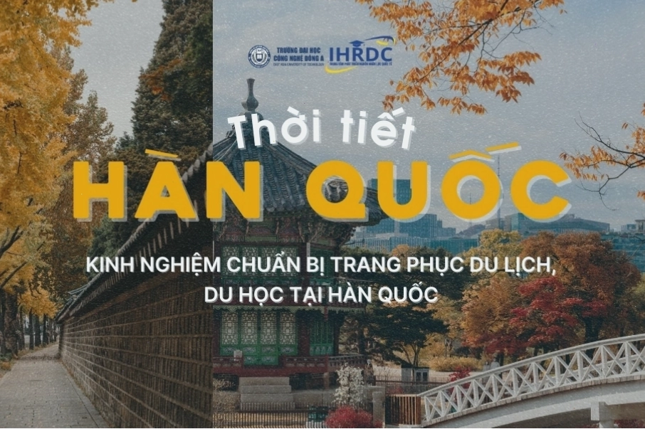Cảnh sắc mùa thu rực rỡ lá vàng, lá đỏ tại Hàn Quốc