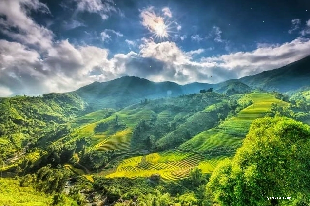 Cảnh sắc mùa xuân miền Bắc với hoa đào nở rộ